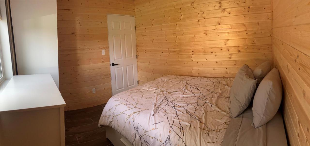 Cougar Mountain Cabin Rentals Valemount Zewnętrze zdjęcie